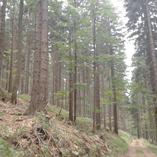 Wyświetl album Wyświetl album